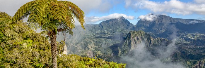 Panorama auf Wald und Berge