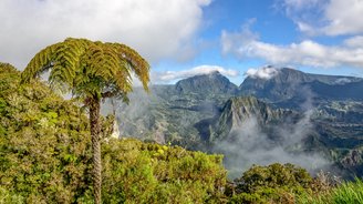 Panorama auf Wald und Berge