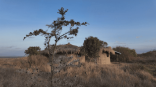 In einer Steppenlandschaft stehen zwei strohbedeckte Lehmhütten.