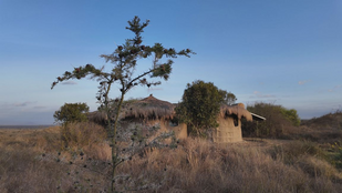 Traditionelle Hütten auf dem Gelände des Africa Amini Projekts In einer Steppenlandschaft stehen zwei strohbedeckte Lehmhütten.