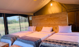 Blick in ein Zelt im Pamoja Serengeti Luxury Camp