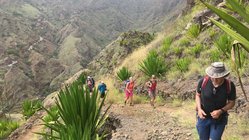 Wandern in der Serra Malagueta Der Betrachter sieht eine Gruppe Wanderer bergan auf sich zukommen. Die umgebenden Hänge der Serra Malagueta auf den Kapverden sind mit Agaven bewachsen. Die links hintere Bilddiagonale wird von einem Tal mit steil aufragenden Bergflanken eingenommen. Das Bild wird von Grüntönen dominiert.