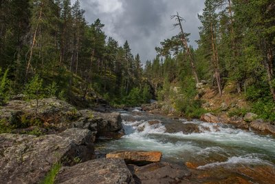 Ein Fluss fließt durch einen Wald