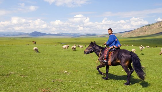 kleiner Junge reitet auf einem Pferd über eine Wiese