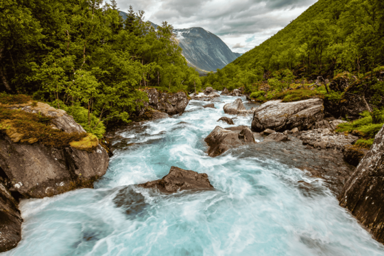 Ein Wasserlauf sprudelt durch ein Felsbett, das von Bäumen gesäumt ist. Im Hintergrund befinden sich Berge.