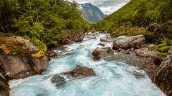 Ein Wasserlauf sprudelt durch ein Felsbett, das von Bäumen gesäumt ist. Im Hintergrund befinden sich Berge.