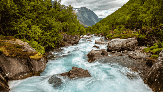 Ein Wasserlauf sprudelt durch ein Felsbett, das von Bäumen gesäumt ist. Im Hintergrund befinden sich Berge.