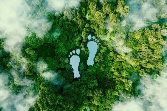CO2- Emissionen auf Reisen reduzieren Wald aus de Vogelperspektive zeigt Seen in Form von zwei Füßen