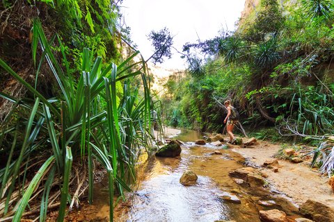 Touristin wandert entlang eines Baches im Nationalpark von Madagaskar