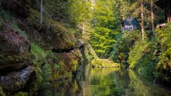 Ein Fluss, der durch die Sächsische Schweiz fließt Ein Fluss in einem grünen Wald