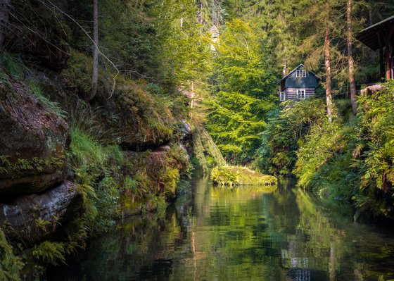 Ein Fluss, der durch die Sächsische Schweiz fließt Ein Fluss in einem grünen Wald