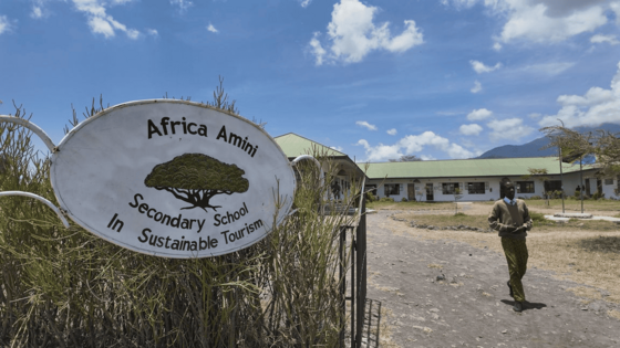 Links im Bild sieht man ein Schild für die Africa Amini Secondary School, rechts im Hintergrund die Schulgebäude und im Mittelgrund einen Afrikaner, der über einen Weg läuft.