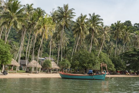 Strandszene: Ein Boot liegt am Sandstrand an, an dem viele Palmen stehen