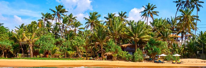 Meerblick auf den Stand mit Palmen