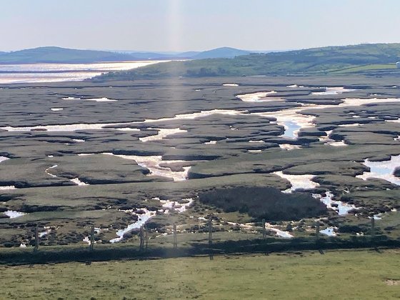 Man schaut über eine grüne, von vielen kleinen Wasserflächen durchbrochene Landschaft. Links im Hintergrund glitzert das Meer.