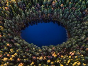 Ein See inmitten von vielen Bäumen im Nuuksio Nationalpark