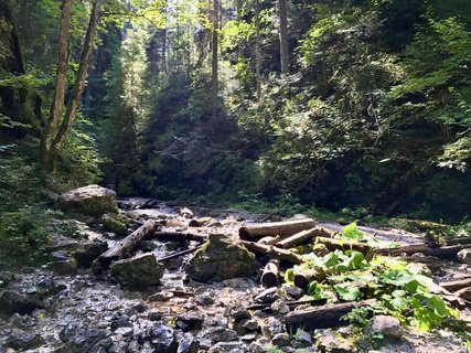 Der von Wäldern umgebene Hornad Durchbruch im Slowakischen Paradies in der Slowakei