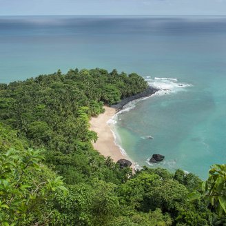 Dicht bewaldeter Küstenabschnitt mit Blick auf einen einsamen Strand und Wolken am Horizont