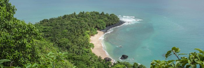 Dicht bewaldeter Küstenabschnitt mit Blick auf einen einsamen Strand und Wolken am Horizont