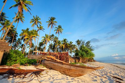 Strand mit Palmen und einem Boot auf Sansibar.