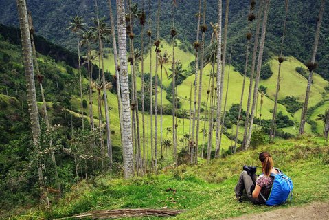 Wanderer blicken auf das grüne Cocora Tal in Kolumbien