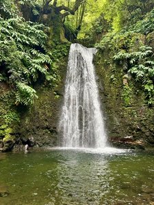 Das hochformatige Foto wird im unteren Drittel von einer grünen Wasserfläche eingenommen. Im Hintergrund ergießt sich ein Wasserfall herab, der von grüner Vegetation umgeben ist.