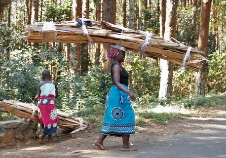 Eine Frau und ein Kind sammeln Holz zusammen und tragen es über dem Kopf