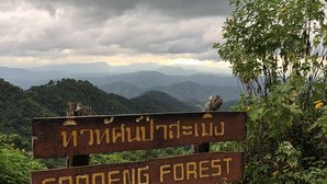 Ausblick im Sanoeng Forest Ausblick im Sanoeng Forest