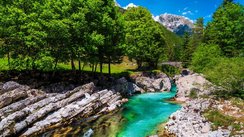 Smaragdgrüner Fluss Soca zwischen Felsen und Bäumen 