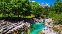 Smaragdgrüner Fluss Soca zwischen Felsen und Bäumen 