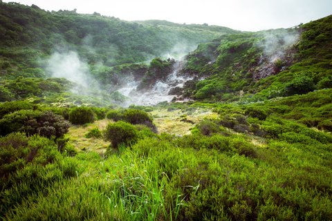 Ein grüner Vulkanpark auf den Azoren