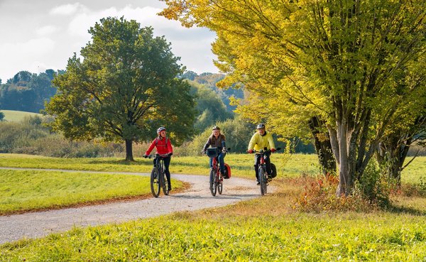 Drei Radfahrer fahren durch die Natur