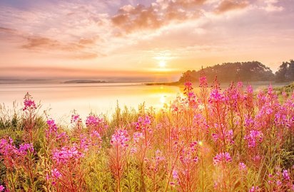Die Sonne geht über einem See mit Wildblumen unter