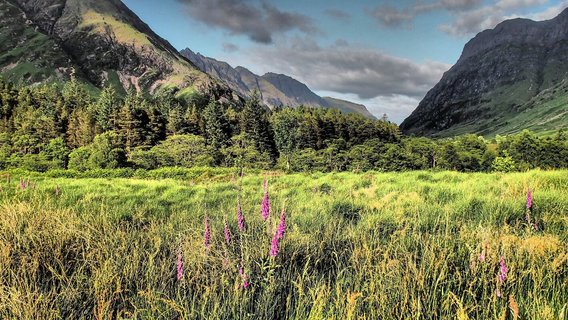 Blick ins Grüne bei Glencoe in Schottland. Im Hintergrund sind die massiven Berge zu sehen.