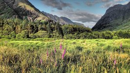 grüne Landschaft bei Glencoe in Schottland Blick ins Grüne bei Glencoe in Schottland. Im Hintergrund sind die massiven Berge zu sehen.