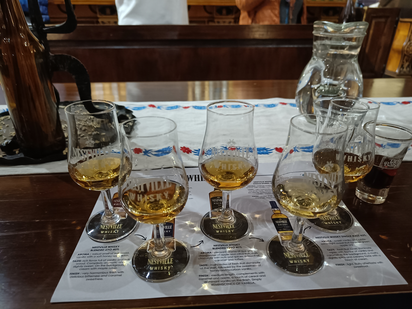 Auf einem Holztisch stehen fünf Degustationsgläser mit bernsteinfarbenem Inhalt. Die Papierunterlage darunter gibt Informationen zu den verschiedenen Whiskysorten. Rechts im Hintergrund befindet sich eine Wasserkaraffe.