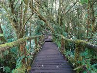 Doi Inthanon Nationalpark