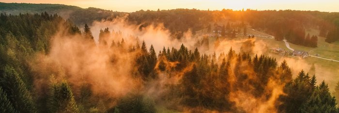 Panoramabild der dichten, im Nebel liegenden Wälder in Rumänien