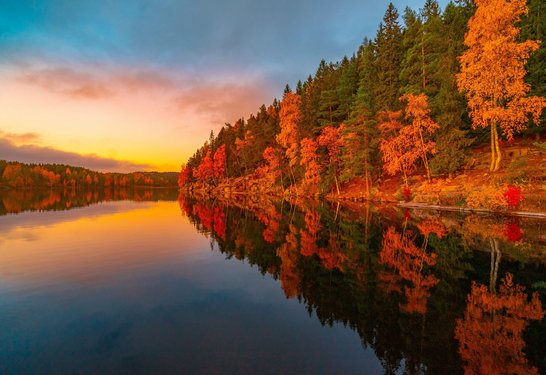 Ein Landschaftsbild mit Herbstwald und einem See