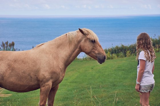 Links im Bild für den Betrachter in Seitenansicht und nur bis zur Hinterflanke sichtbar steht ein braunes Pferd auf einer grünen Wiese. Am rechten Bildrand steht ein Mädchen mit langen blonden Haaren, bekleidet mit einem weißen T-Shirt und Jeansshorts, mit dem Rücken zum Betrachter. IM Hintergrund erstreckt sich blaues Meer bis zum heller blauen Horizont.
