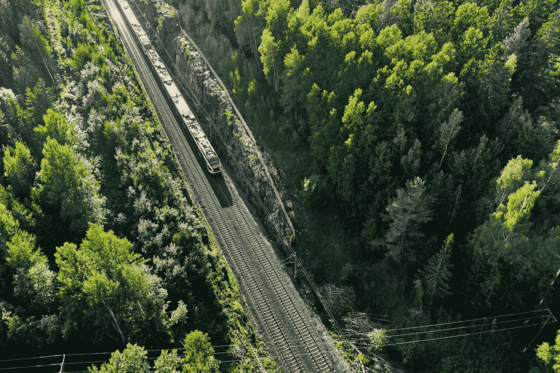 Man blickt aus der Aufsicht auf einen Wald, der von links oben nach vorne mittig von Schienen geteilt wird. von links oben fährt ein Zug in das Bild.