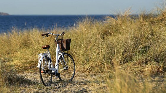 Ein weißes Fahrrad mit Fahrradkorb, das im Sand zwischen den Gräsern steht. Im Hintergrund ist das Meer zu erkennen.