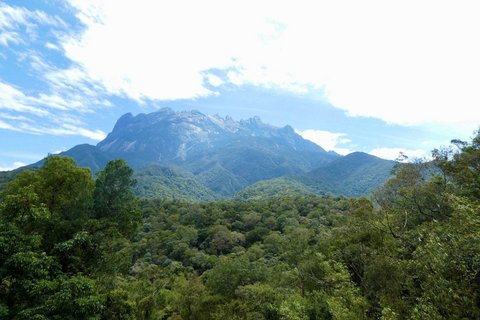 Über ein grünes Blätterdach im Bildvordergrund schaut man auf ein Bergmassiv in der Bildmitte. Darüber erhebt sich ein blauer Himmel mit großen weißen Wolken.
