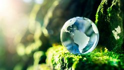 Gläserner Globus in grüner Umgebung